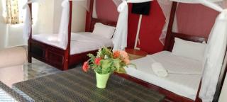 Gorilla African Guest House - 4