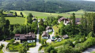 Hausveronika - Mariapfarr - 7
