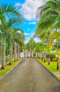 F2 Résidence Oasis Terre Rouge à Saint Pierre - 8