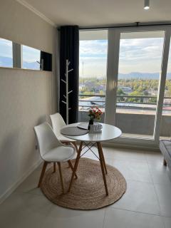 Hermoso departamento nuevo en Santiago - Santiago - 4