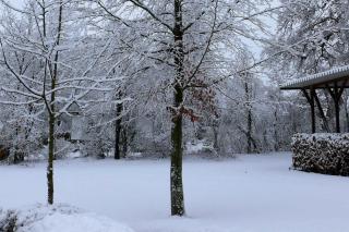 Haus-Auetal - - 4
