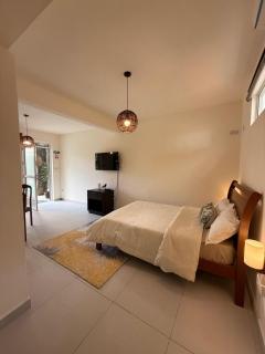 L'Éveil du Lotus - 6