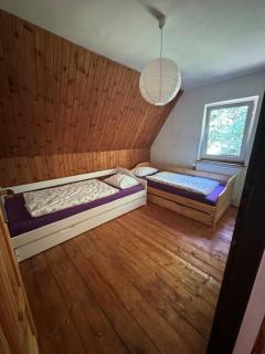 Chalet Helena - Nové Hamry - 1