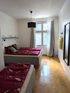 Sorin Helmi - Tampere - 3
