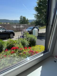 Ruhig gelegene Ferienwohnung an der Traumschleife - Boppard - 7