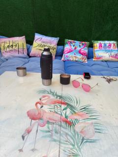 Casa Flamingo - Figueira da Foz - 8
