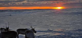 Arctic Lake Aurora house,Sevettijärvi - Sevettijärvi - 6