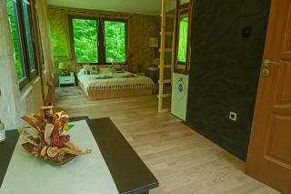 Forest Hide Tiny House - 1