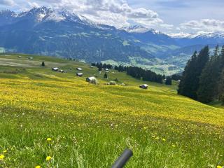 Neu-renovierte - Nov 24 - 2,5 Zi Wohnung mit Traum-Aussicht - Falera - 8