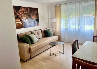 Sesa Appartment - Struga - 0