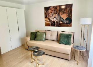 Sesa Appartment - Struga - 7