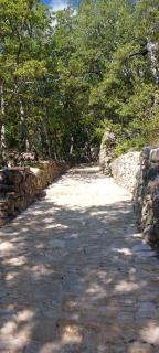 La Clemensane - 1