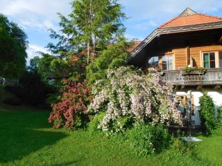 Bio - Appartements Bischof, Familie Wind - Afritz am See - 1