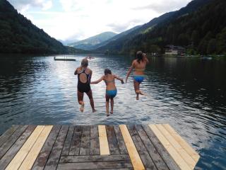 Bio - Appartements Bischof, Familie Wind - Afritz am See - 4
