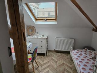 Private room at Ceausescu's place in Old City Unirii Square - Bucarest - 2