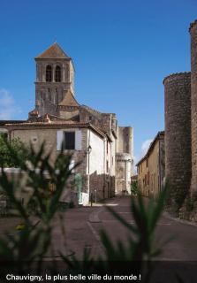 Gites De la Cour au Grenier - Chauvigny - 9