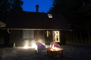 Forest Cabin Nest-Family Retreat for 7 with Sauna & Hot tub - Gornji Mihaljevec - 2