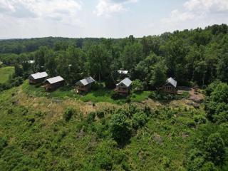 Wildflower Cabin with a private hot tub - Bryant - 7