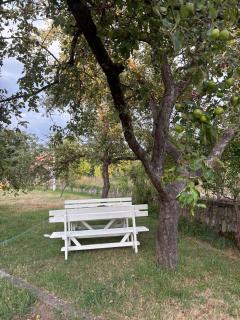 The Budim House - Berane - 4