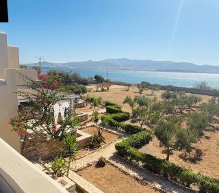 Stone-house3 - Antiparos - 0
