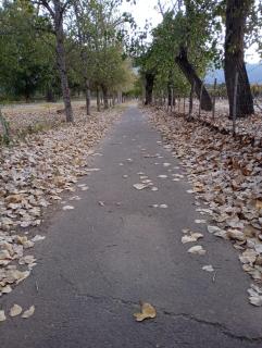 Luna Cautiva - Cafayate - 6