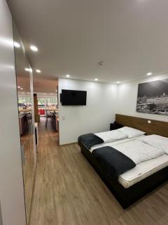 FeWo 236 Aparthotel Mittelberg - 3
