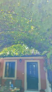 CASA THEOTOKI - Anemómylos - 7