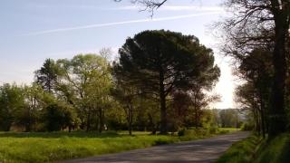 Mirelaure, Havre convivial au cœur de 32 hectares - 6