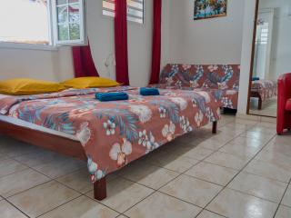 Le Pavillon Ananas - Gros-Morne - 8