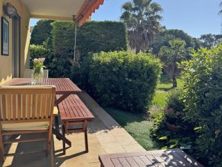 Myrtales - Juan-les-Pins - 7