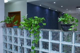 Apartamento aconchegante ideal para casais - Campos dos Goytacazes - 5