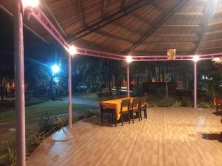 Du lịch Hạ Thảo Bến Tre - 2