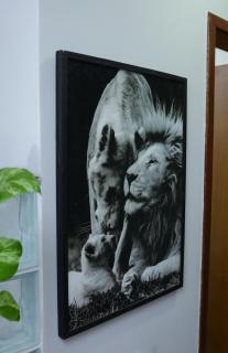 Apartamento confortável ideal para casais - Campos dos Goytacazes - 6
