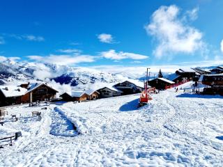 Charmant Appartement Ski-In à La Plagne - 6 Pers. - FR-1-755-41 - Aime-La Plagne - 3