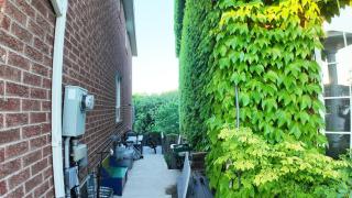 2 Bedroom Walkout Basement Ajax - 1