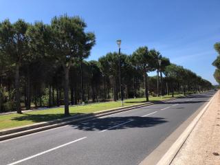 T3 Rénové RDC, 4P, Animaux OK, Parking, 400m Plage - FR-1-799-61 - 2