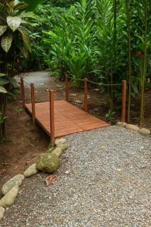 Hotel Boutique The Green Jungle House - 1