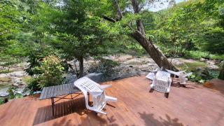 Oasis forest garden - Ban Takuk Nua - 7