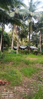 SUNSET GARDEN Beach Resort - Neil Island - 1