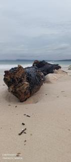 SUNSET GARDEN Beach Resort - 2