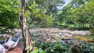 Oasis forest garden - Ban Takuk Nua - 8
