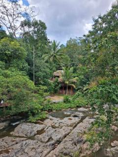 Oasis forest garden - Ban Takuk Nua - 9