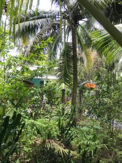 Bến Tre Homestay - 3