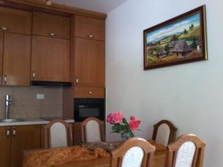 Apartment Joksimovic - 2