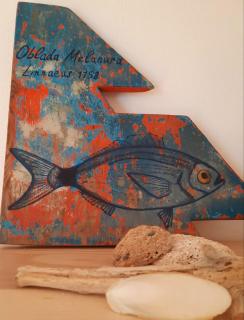 My home in Favignana - 9