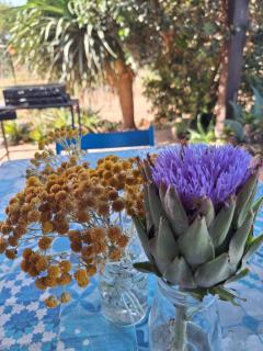My home in Favignana - Favignana - 8