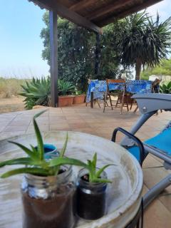 My home in Favignana - Favignana - 7