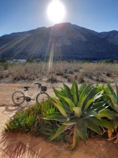 My home in Favignana - Favignana - 4