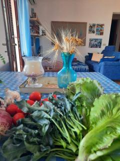 My home in Favignana - Favignana - 1