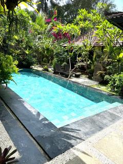 Dewata ubud - 2